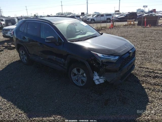 TOYOTA TOYOTA RAV4 XLE