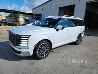 HYUNDAI PALISADE CALLIGRAPHY