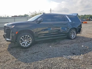 CADILLAC ESCALADE ESV LUXURY