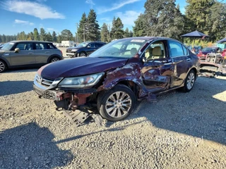 HONDA ACCORD EXL