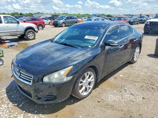 NISSAN MAXIMA S/SV