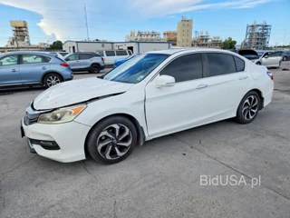HONDA ACCORD EXL