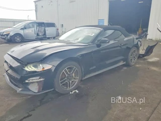 FORD MUSTANG