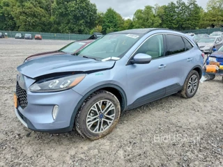 FORD ESCAPE SEL