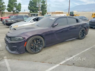 DODGE CHARGER GT