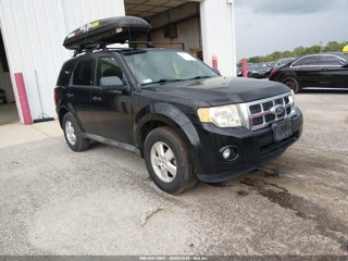 FORD FORD ESCAPE XLT