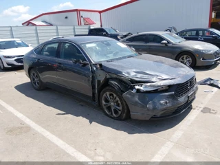 HONDA HONDA ACCORD EX