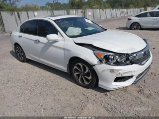 HONDA HONDA ACCORD EX-L V-6