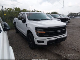 FORD FORD F-150 XLT