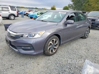 HONDA ACCORD EXL