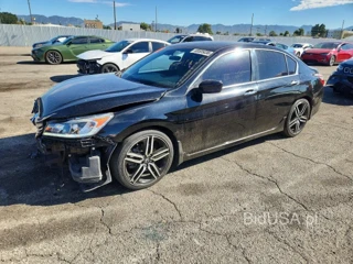 HONDA ACCORD SPORT