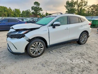 TOYOTA VENZA XLE