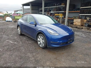 TESLA TESLA MODEL Y AWD/LONG RANGE DUAL MOTOR ALL-WHEEL DRIVE