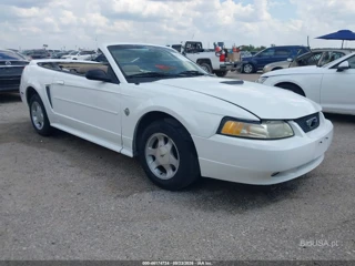 FORD FORD MUSTANG
