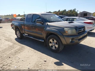 TOYOTA TOYOTA TACOMA BASE V6
