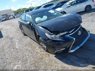 LEXUS LEXUS ES 350
