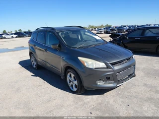 FORD FORD ESCAPE SE