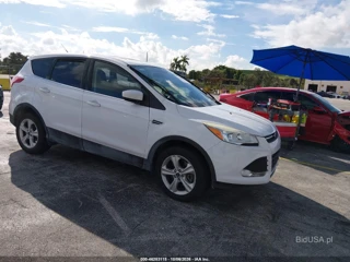 FORD FORD ESCAPE SE