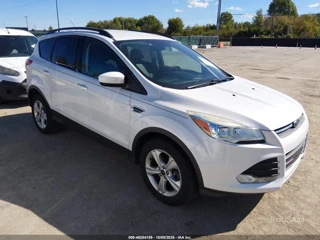 FORD FORD ESCAPE SE