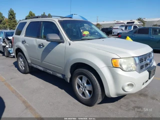 FORD FORD ESCAPE XLT