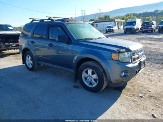 FORD FORD ESCAPE XLT