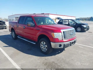FORD FORD F-150 XLT
