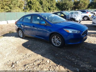 FORD FORD FOCUS SE
