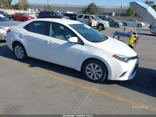 TOYOTA TOYOTA COROLLA LE