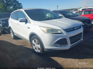 FORD FORD ESCAPE SE