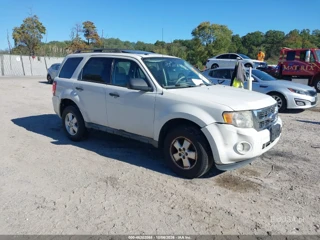 FORD FORD ESCAPE XLT
