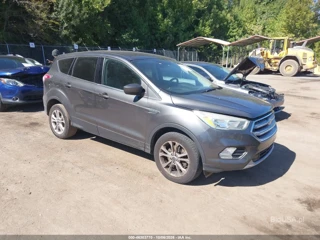 FORD FORD ESCAPE SE