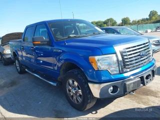 FORD FORD F-150 XLT