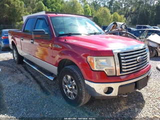 FORD FORD F-150 XL/XLT