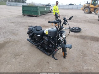HARLEY-DAVIDSON HARLEY-DAVIDSON XL883 N