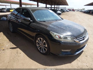 HONDA HONDA ACCORD SPORT