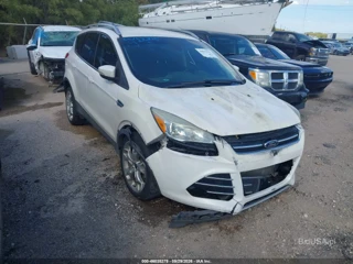 FORD FORD ESCAPE TITANIUM