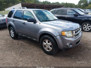 FORD FORD ESCAPE XLT