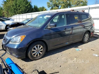 HONDA ODYSSEY EX