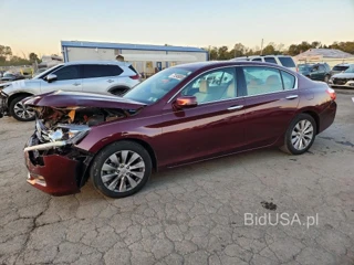 HONDA ACCORD EXL