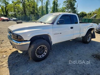 DODGE DAKOTA