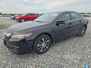 ACURA TLX TECH