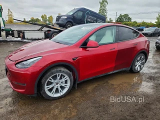 TESLA MODEL  Y