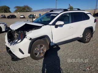 TOYOTA RAV4 HYBRID XLE