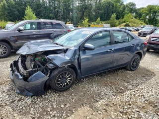TOYOTA COROLLA LE ECO