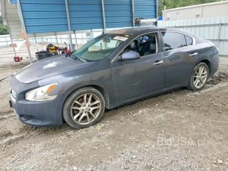 NISSAN MAXIMA 3.5 S
