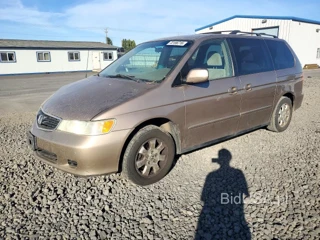 HONDA ODYSSEY EX