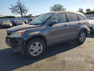 HONDA CR-V EXL