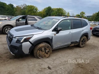 SUBARU FORESTER WILDERNESS