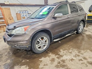 HONDA CR-V EX
