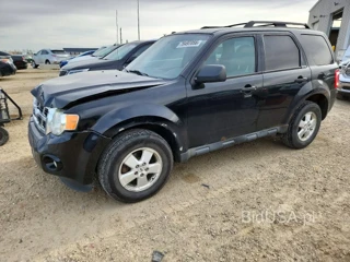 FORD ESCAPE XLT